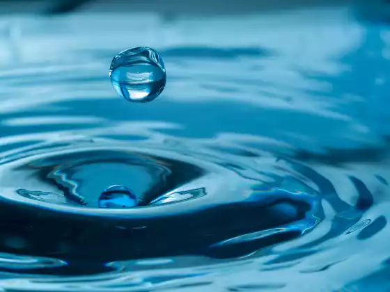 Kích hoạt rung động chữa bệnh của bạn: Khi bạn chữa lành bản thân, bạn chữa lành thế giới