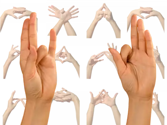 Mudras místicos: uma série mensal de workshops de fusão de Reiki/Yoga