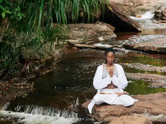 Gassho Gateway: Meditação Centrada no Coração para Praticantes de Reiki