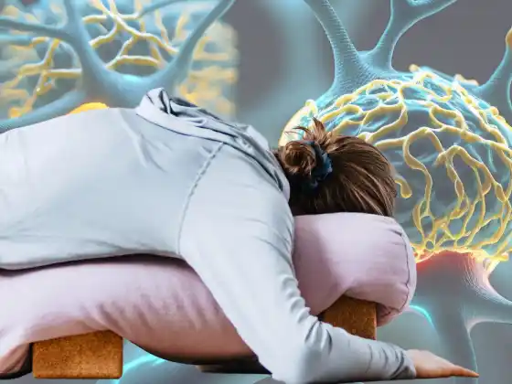 Movimento consciente: explorando e compreendendo a neuroplasticidade no Yin Yoga