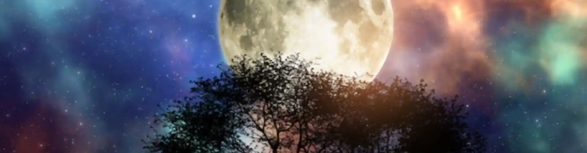 முழு நிலவு சக்கர தியானம் - Online Class by Cassaundra Paolini