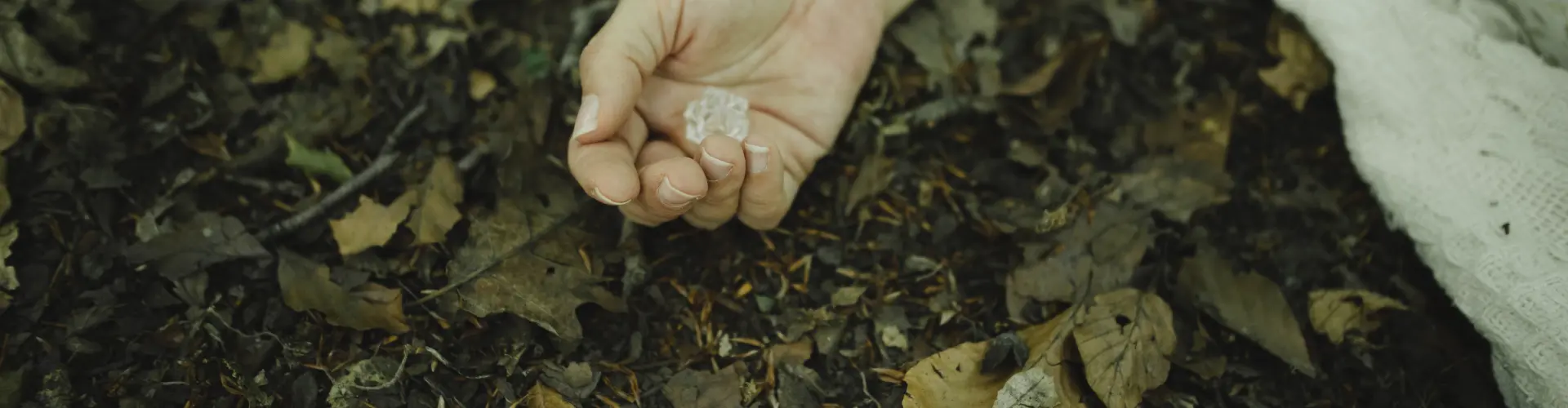 Fern-Reiki-Heilung - Online Class by Sarah Evans 