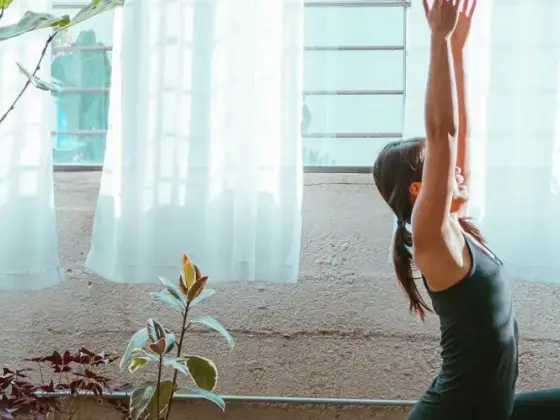 Hanya Yoga Biasa